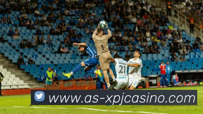 多媒体互动体验